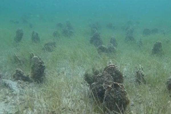 Çanakkale Boğazı'nda 'Pina' mezarlığı görüntülendi