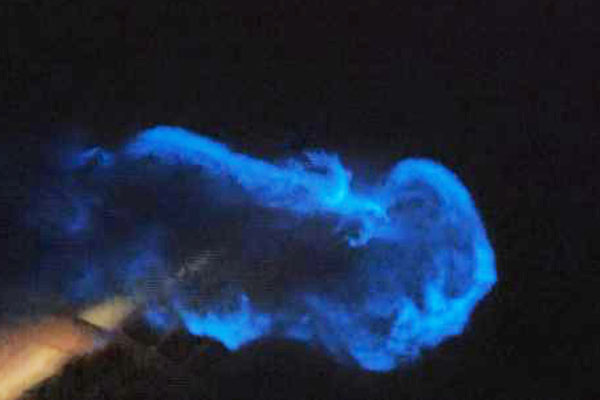 Marmara Denizi’nde 'mavi ışık' heyecanı