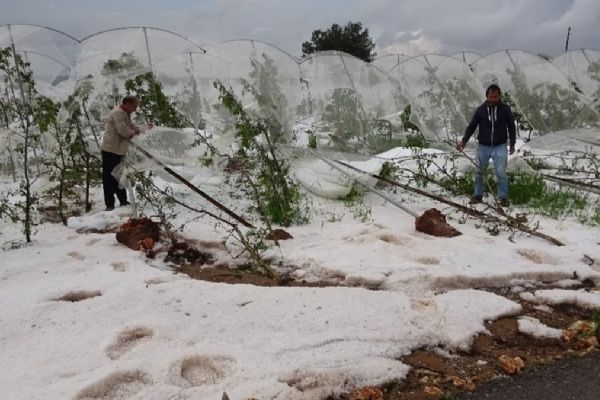 Mersin'de 1 saat yağan dolu tarlalara zarar verdi