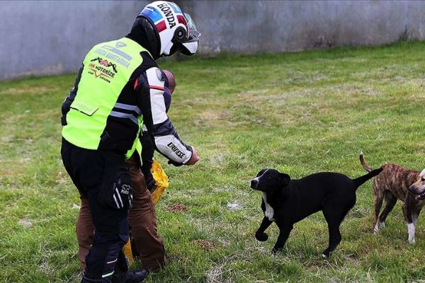 İHH Gönüllü Motorize Ekibi sokak hayvanlarına yiyecek ulaştırıyor