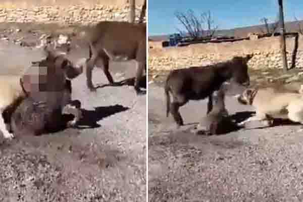 Ankara'daki vahşetle ilgili Başsavcılıktan açıklama