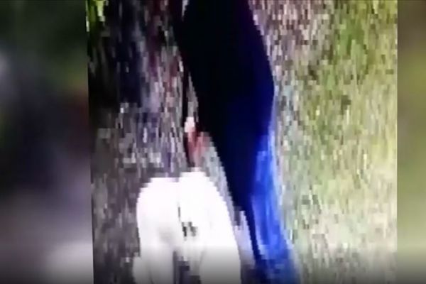 Kangal köpeği hırsızlığı güvenlik kamerasında