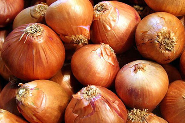 Adana'da 1, İstanbul'da 6 lira