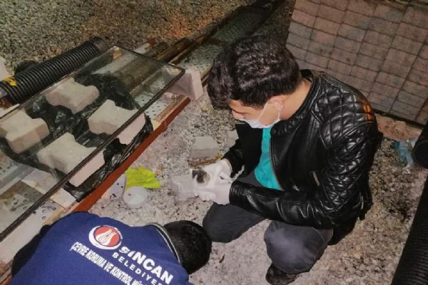Sincan Belediyesi sokaktaki canlarımıza sahip çıkıyor