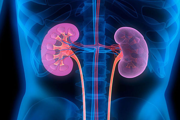 Böbreklerin en büyük düşmanı! Sofranızdan uzak tutun