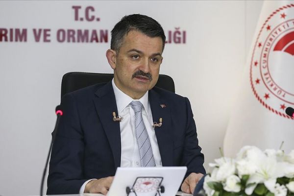 '2 bin 153 sözleşmeli personel istihdamı için başvuruları 15-22 Mayıs'ta alacağız'