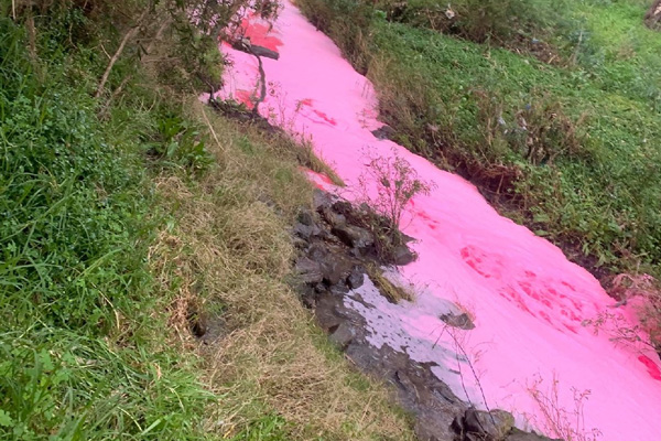 Avustralya'da ilginç görüntü: Nehrin rengi pespembe oldu