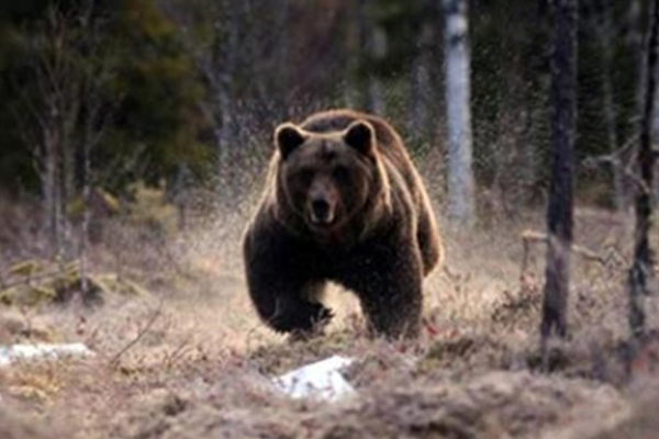 Ankara’da korkunç olay!