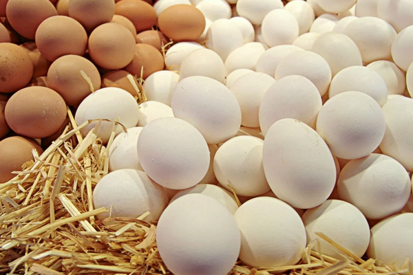 500 binden fazla yumurta toplatıldı: Zehirleyebilir!