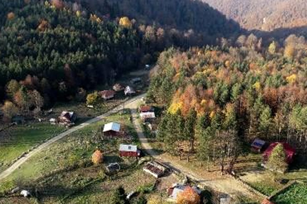 Türkiye'de koronavirüs görülmeyen yerlerdendi! İlk vaka haberi geldi