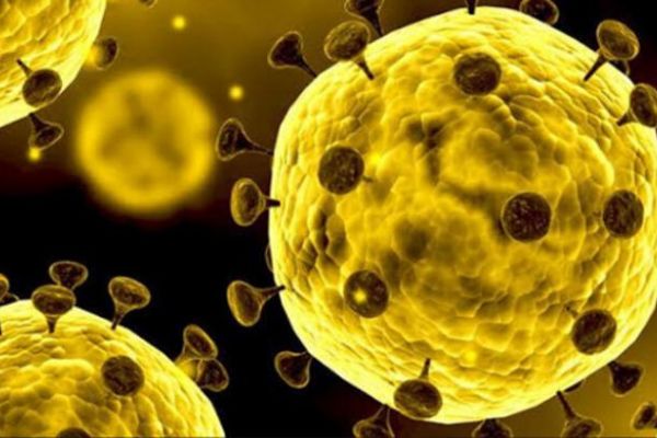 Korona virüs salgınında son durum ne?