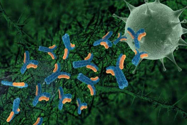 ABD'li firmadan umutlandıran açıklama: Koronavirüse karşı yüzde yüz etkili