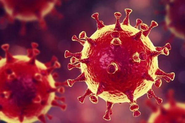 Koronavirüs sonrası yeni salgın kapıda