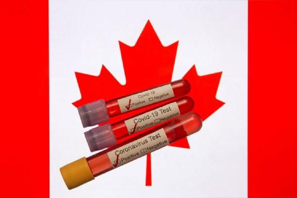 Kanada'da Kovid-19 kaynaklı can kaybı 5 bin 782'ye yükseldi