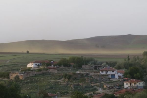 Yozgat'ta bir köy sinek istilasına uğradı
