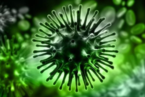 Sars virüsünden kaç kişi öldü?