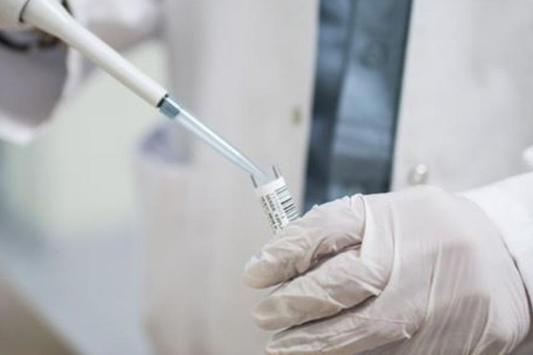 Uzmanlardan umutlandıran açıklama: Prototip bir aşı maymunları koronavirüsten koruyor