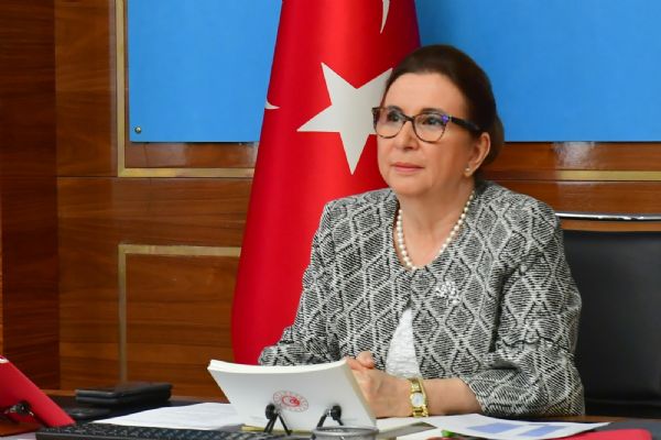 Ticaret Bakanı Pekcan Rusya Federasyonu Enerji Bakanı Novak ile görüştü