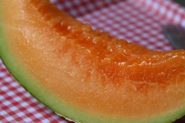 Dünyanın en pahalı meyvesi: Yubari kavunu görücüye çıktı