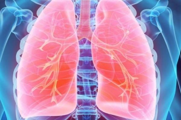 Akciğer nakli yapılabiliyor mu? Akciğer nakli hakkında merak edilenler