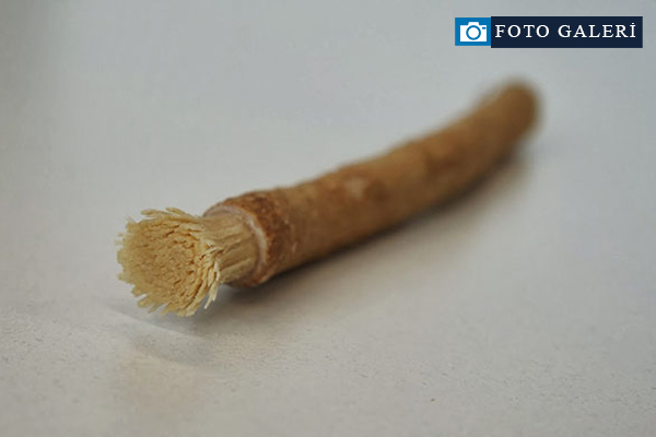 Misvak kullanmanın faydaları