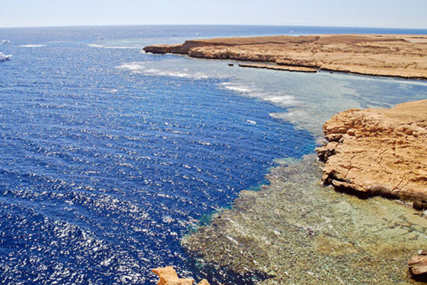 Mısır'da eylem hazırlığı