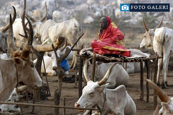 Güney Sudan'ın ilginç kabilesi