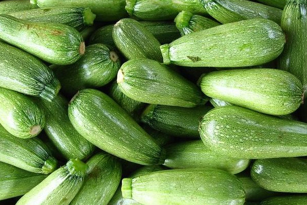 Rusya, Türkiye'den kabak ithalatını durdurdu