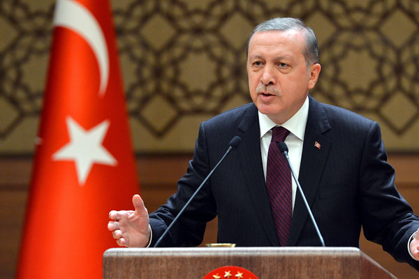 Avusturya'daki seçimlerde Erdoğan'a oy çıktı