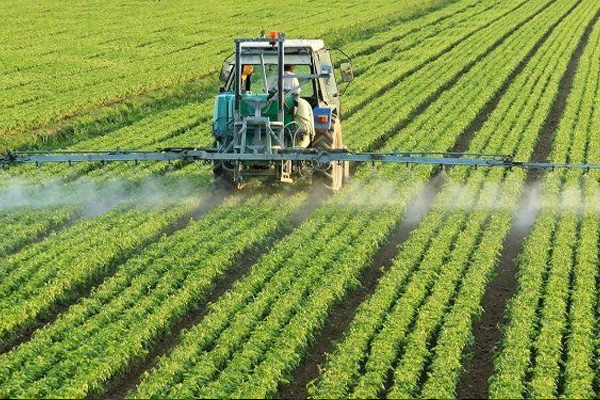 Türkiye'de meyve ve sebze üretimi bu yıl artacak