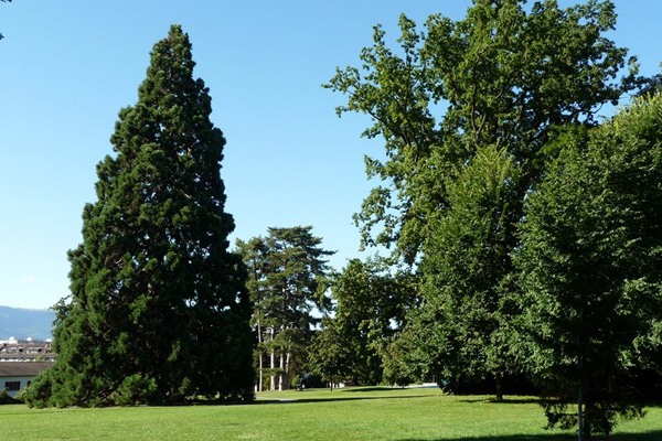 Cenevre ‘Ermeni soykırımı’ anıtını onayladı