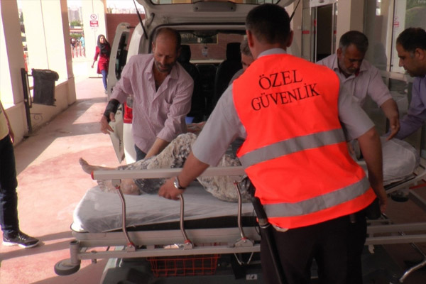 İnşaat iskelesi çöktü: 3 yaralı