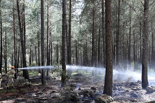 Ukrayna'da büyük yangın: 17 ölü