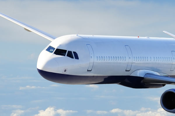 İnatçı yolcu uçağı karıştırdı