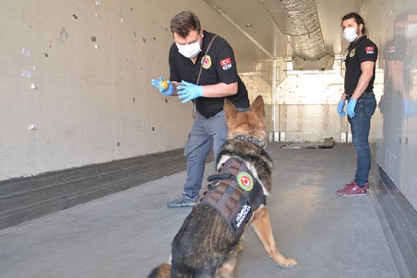 Esendere Gümrük Kapısı'nda 142 kilogram eroin ele geçirildi