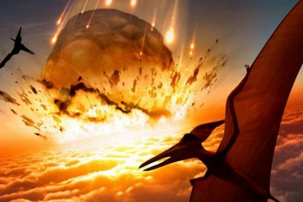 Dünyada '6. kitlesel yok oluş' beklenenden daha hızlı yaşanıyor olabilir