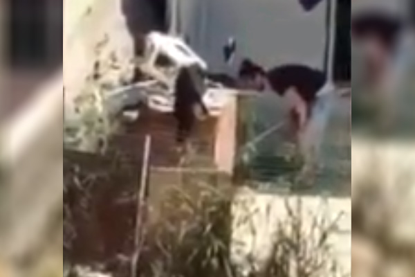 İzmir'de köpeğe şiddet görüntüleri büyük tepki çekti