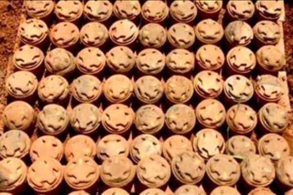 MSB: 'Özel Mayın Arama Temizleme Timleri, 2015 yılından bu yana 81.485 mayını imha etti'