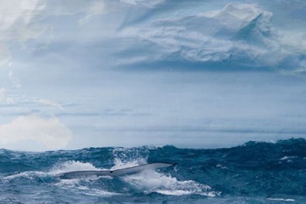 İşte dünyanın en temiz havasına sahip yeri