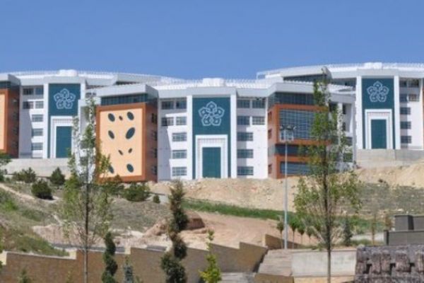 Sosyal medya da 'salgına' dönüştü