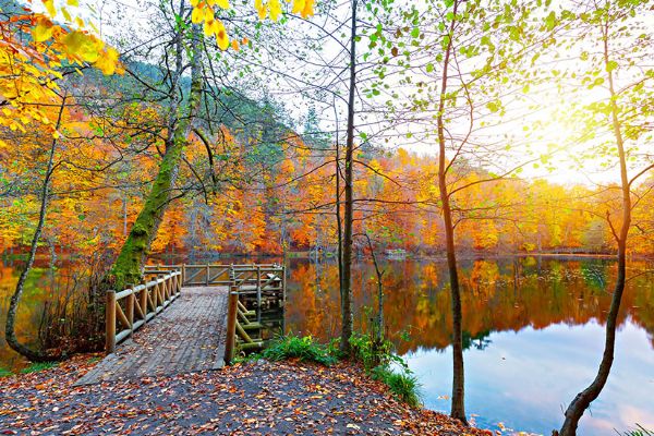 Kır tatiline çıkmak için başlangıç