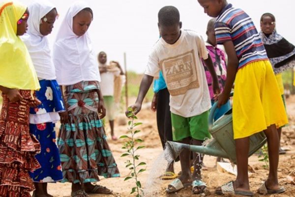İDDEF'ten Afrika'da Fidan Seferberliği