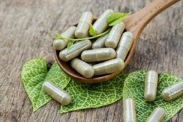 İlaç üretimi için tıbbi ve aromatik bitki araştırması