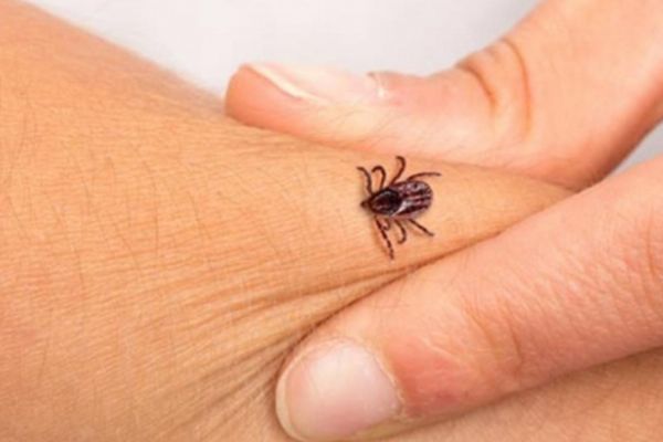 İstanbul'da Korona'dan sonra yeni tehlike!