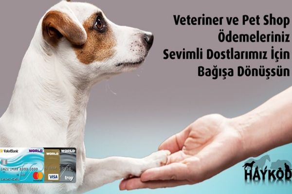 Vakıfbank'tan HAYKOD'a destek