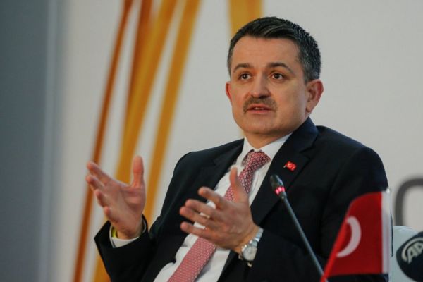 Bakan Pakdemirli açıkladı: Ödemeler bugün başlıyor