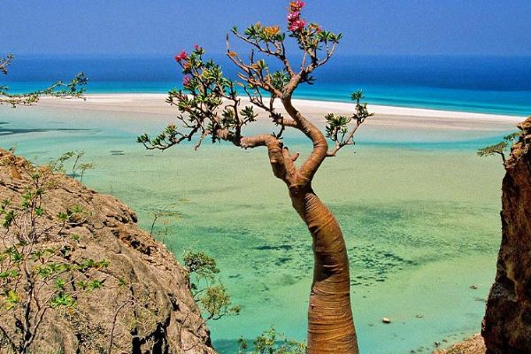 Yemen'de BAE destekli ayrılıkçılar, Sokotra adasını ele geçirdi