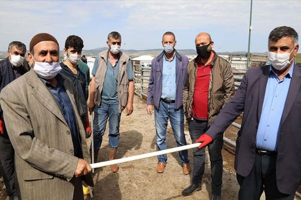Kurban'da 'sopalı' pazarlık
