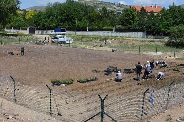 Keçiören Belediyesi tarımsal üretim için bostan kurdu