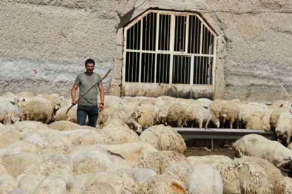 Hobi olarak başladığı besicilikteki başarısı örnek oldu